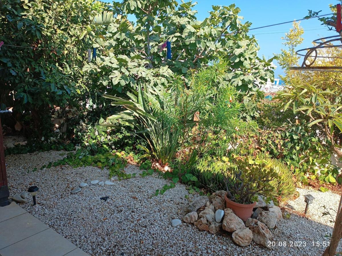 פרבוליה Ferienhaus_Familykrausz מראה חיצוני תמונה