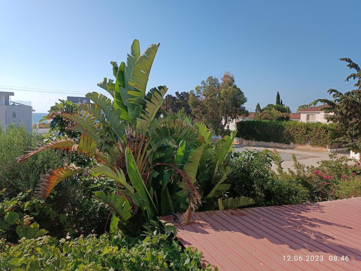 פרבוליה Ferienhaus_Familykrausz מראה חיצוני תמונה